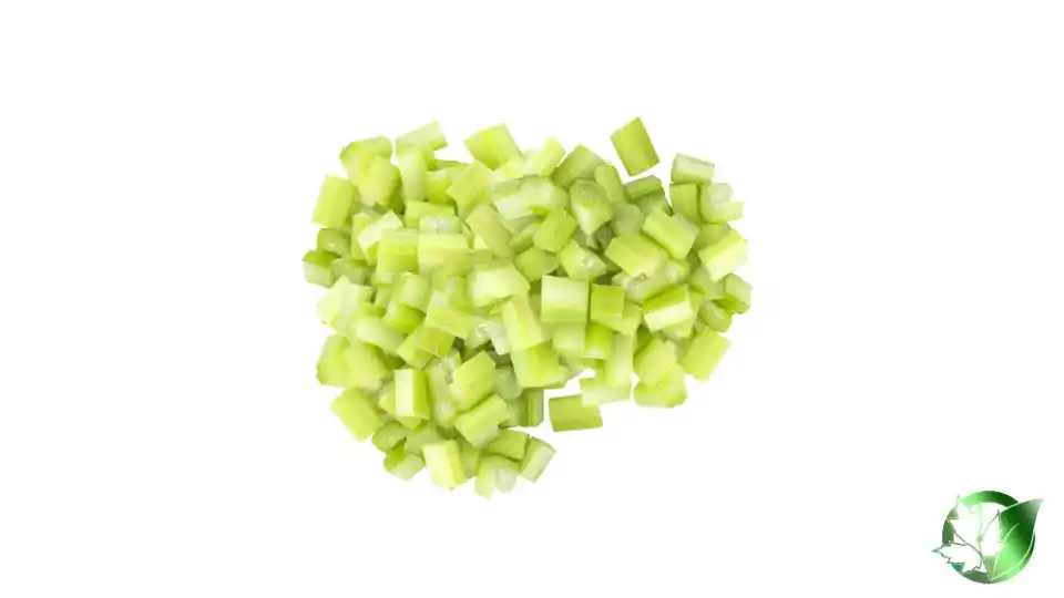 Bulk Frozen Fried Celery | Suppliers | Wholesale | ParsaFood Global